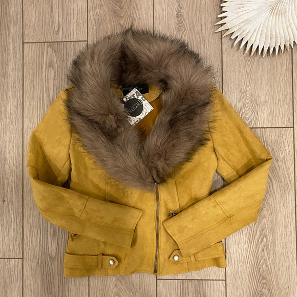 LA Coalition - Picture 3 of 11